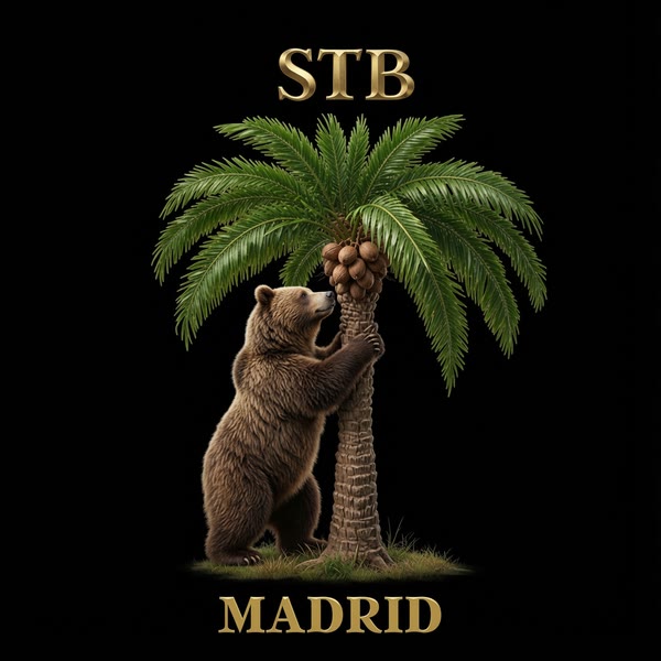 STBMadrid